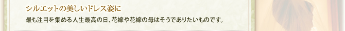 シルエットの美しいドレス姿に…最も注目を集める人生最高の日、花嫁や花嫁の母はそうでありたいものです。