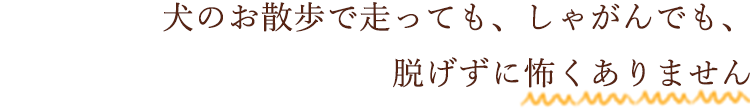 犬のお散歩で走っても、しゃがんでも、脱げずに怖くありません